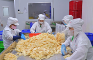 Viet Nam faces steep export target in final five months
